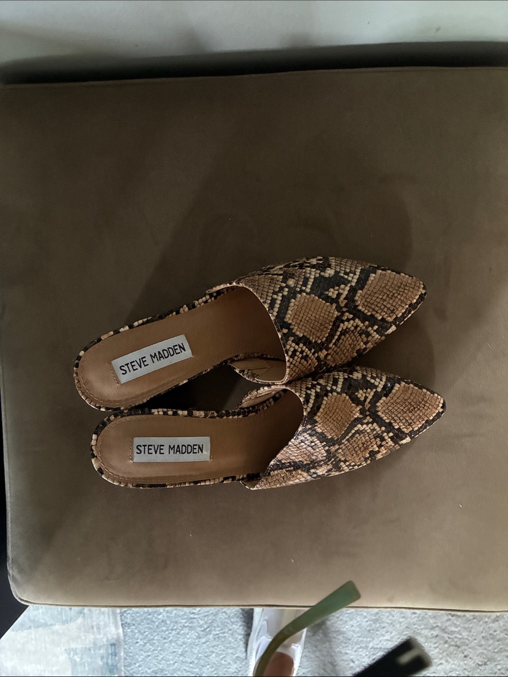 Steve Madden Brown Snake Print Pointed Toe Mules